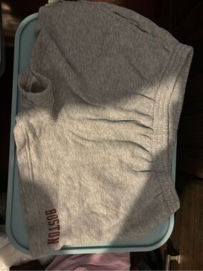 Gray Sweatshorts Brandy Melville one size